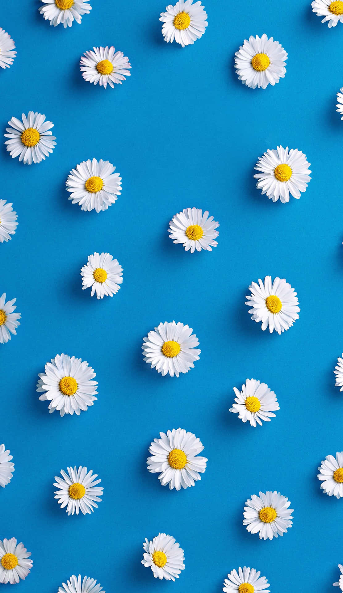 Cute Blue iPhone Wallpaper
