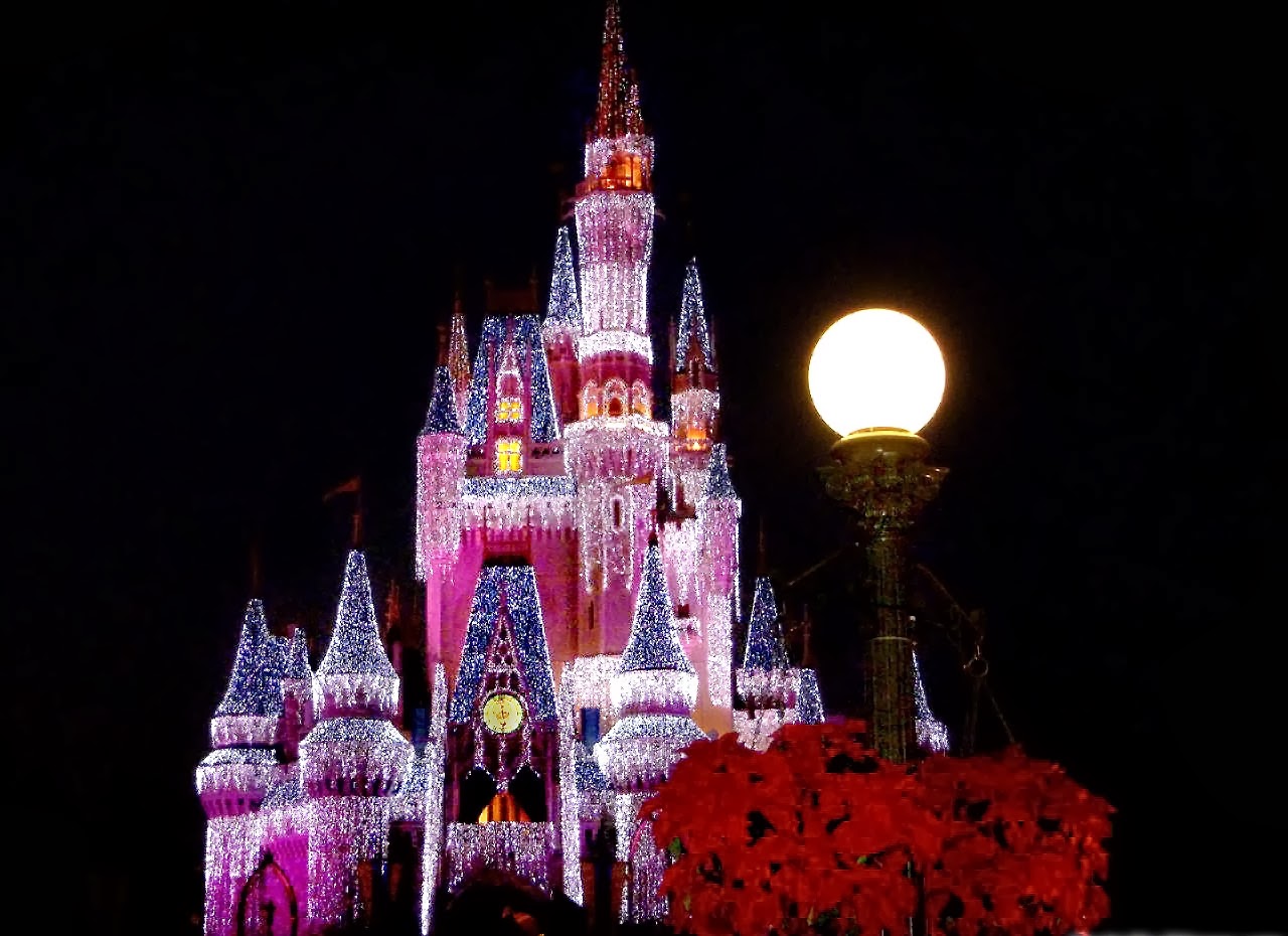Disney Castle HD Wallpapers Download   Best Photos Wallpapers 1280x930