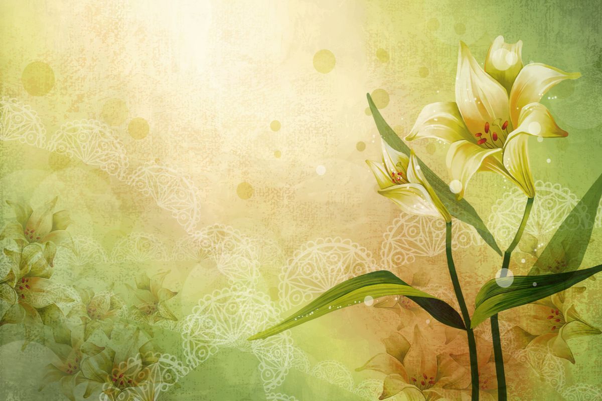 🔥 Download Abstract Flower Background HD Wallpaper In Imageci by
