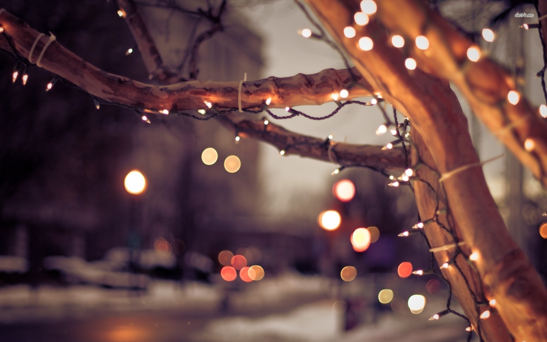 Wallpaper Christmas Lights On