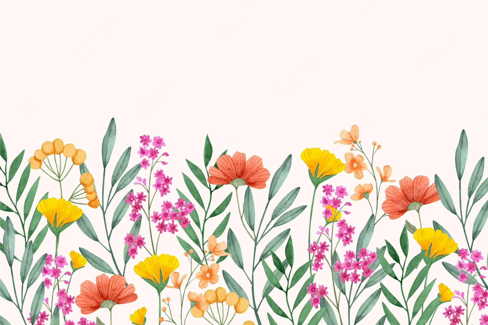Wild Flower Desktop Wallpaper