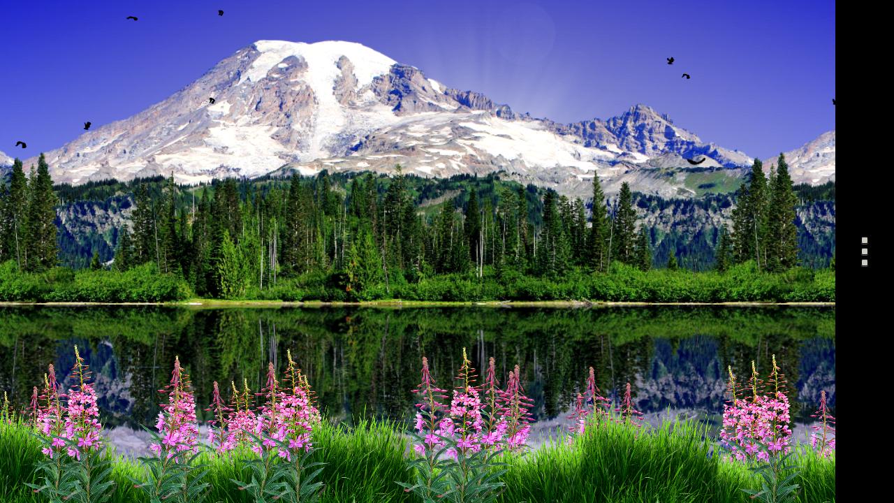 Mount Rainier Live Wallpaper Android Apps On Google Play