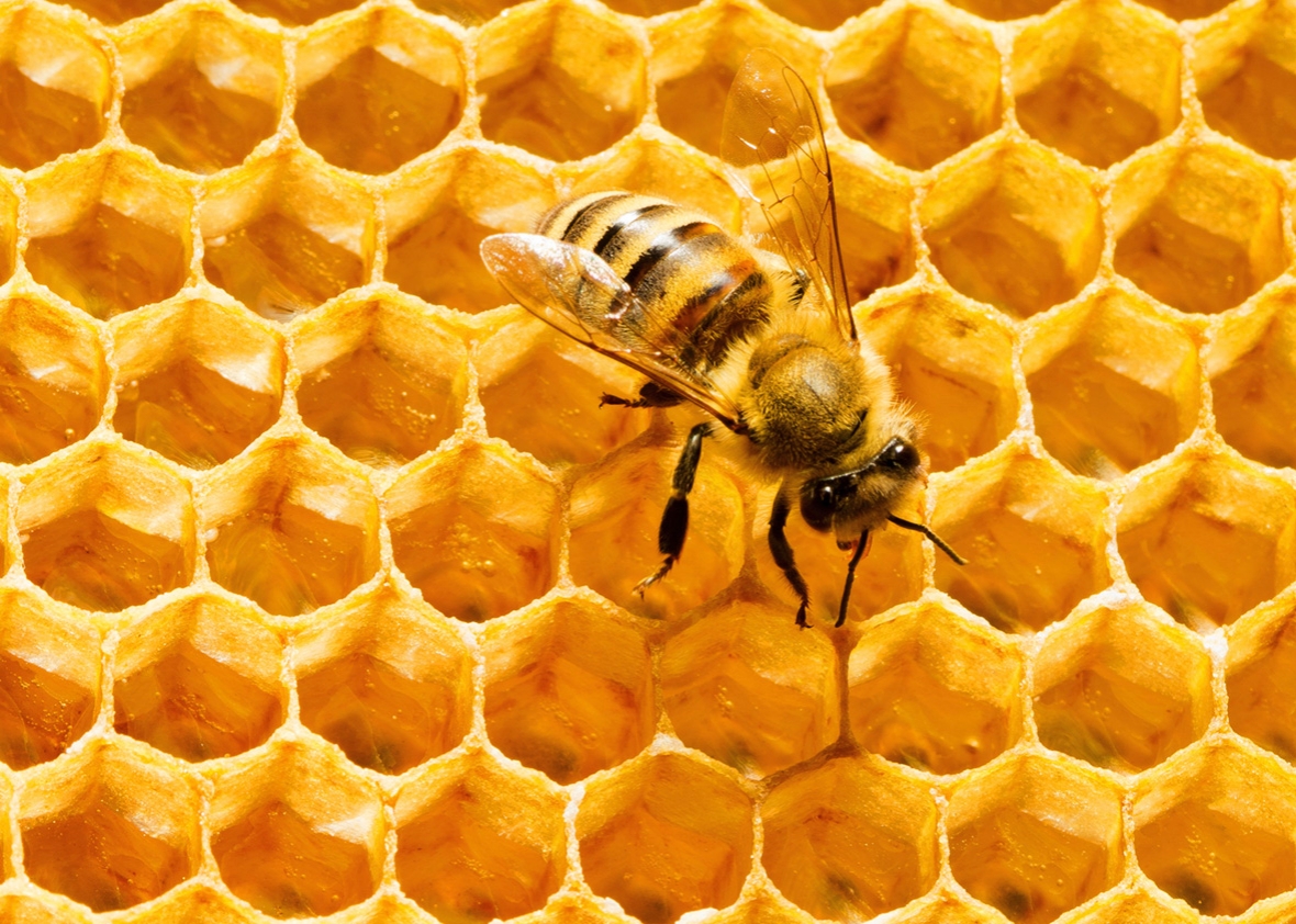 Honeycomb Wallpaper Abstract Hq Picture