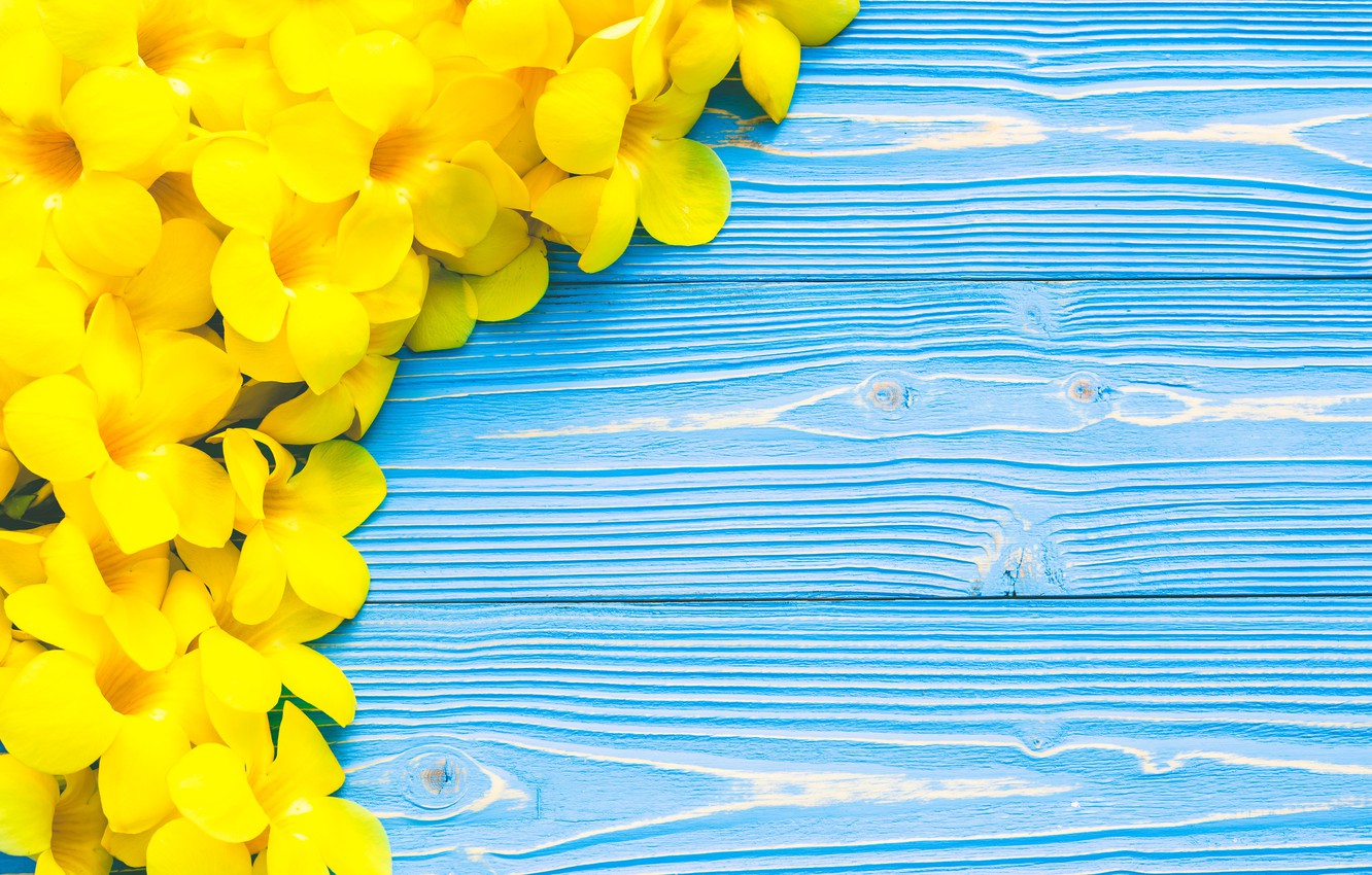 Wallpaper Flowers Yellow Wood Blue Tropical