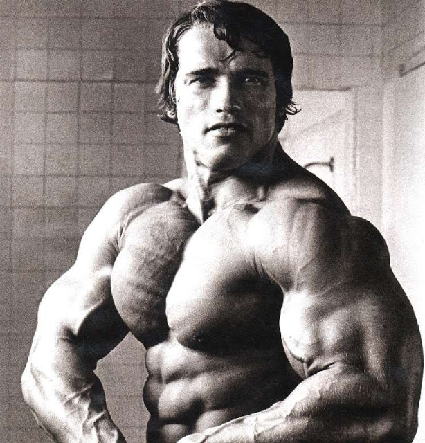 49+] Arnold Schwarzenegger Wallpaper Bodybuilding - WallpaperSafari