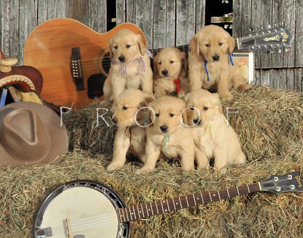 Country Music Litter Background Photo Barry Rosen Photos At Pbase