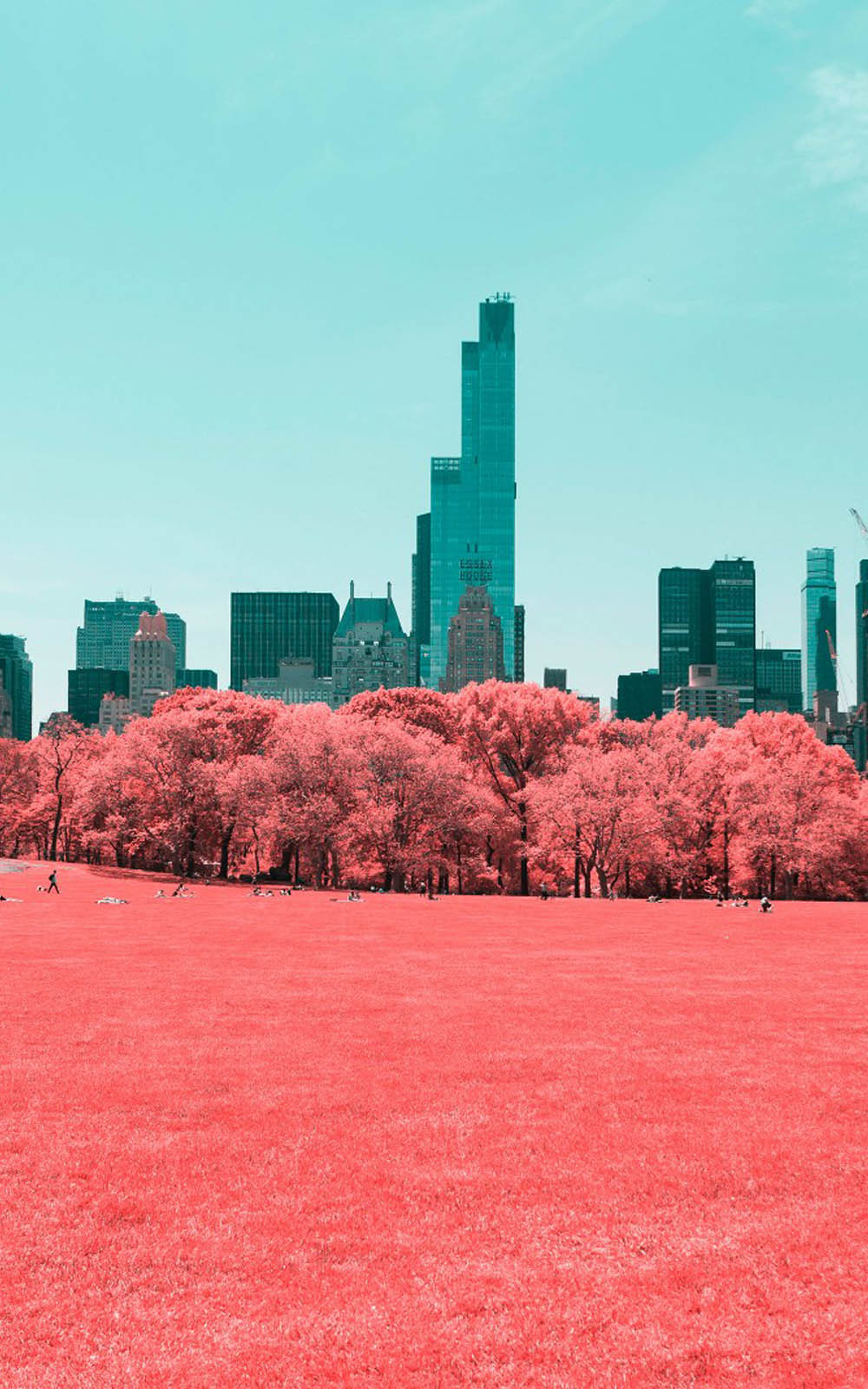 Nyc Central Park Infrared Click 4k Ultra HD Mobile Wallpaper