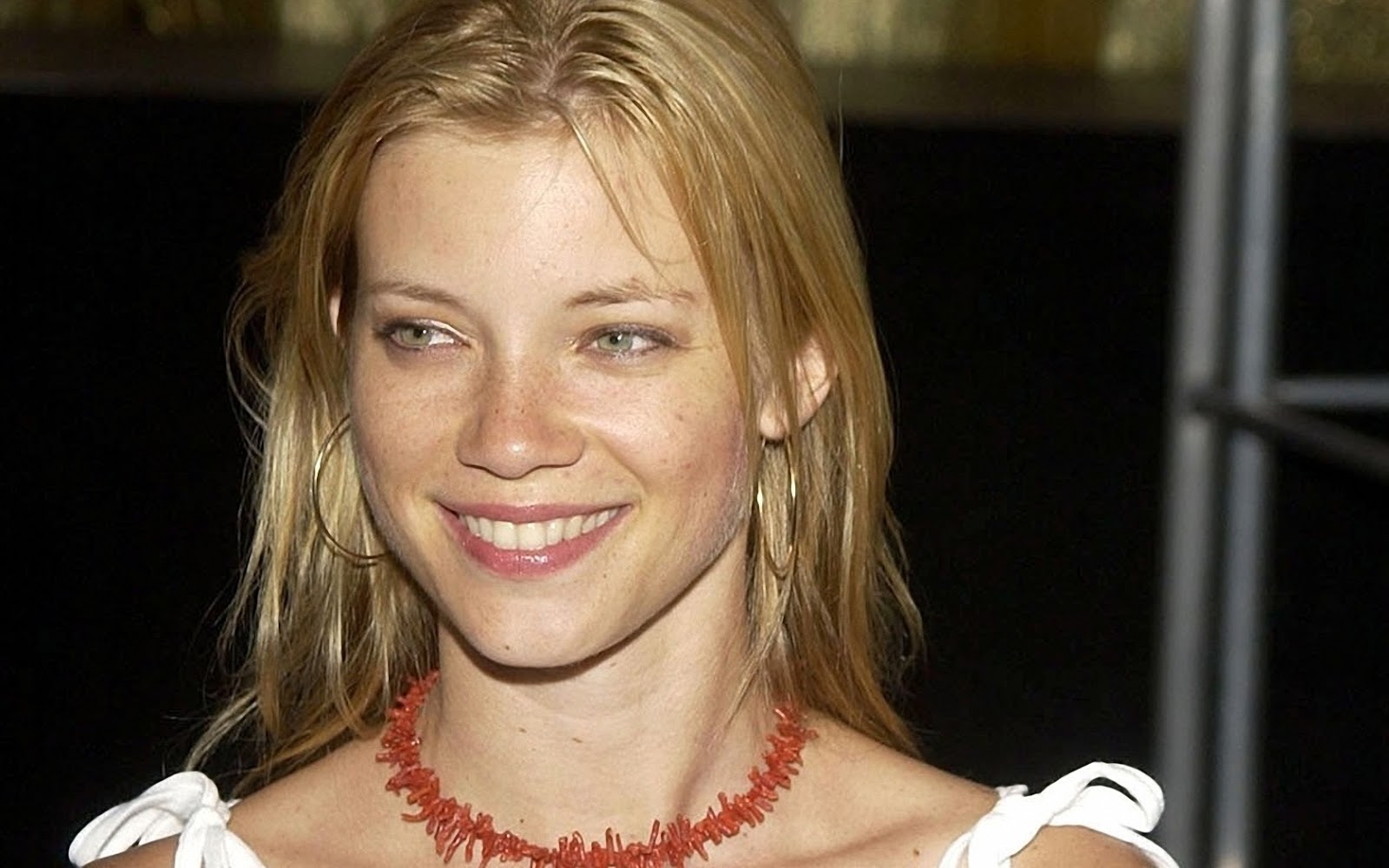 Hollywood All Stars Amy Smart HD Wallpaper