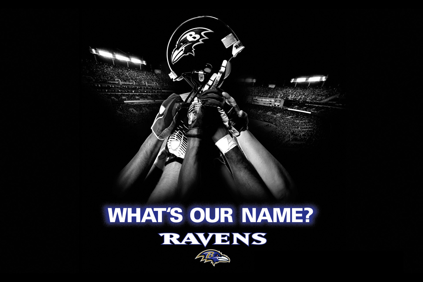 Baltimore Ravens Desktop Image Wallpaper