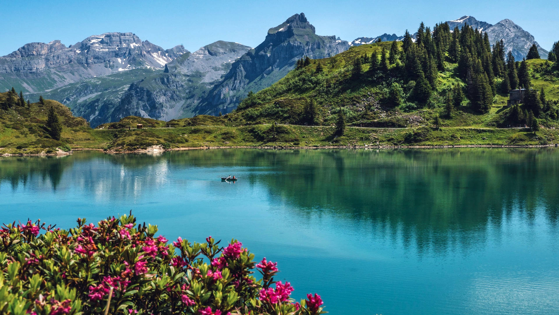 Swiss Alps Wallpaper