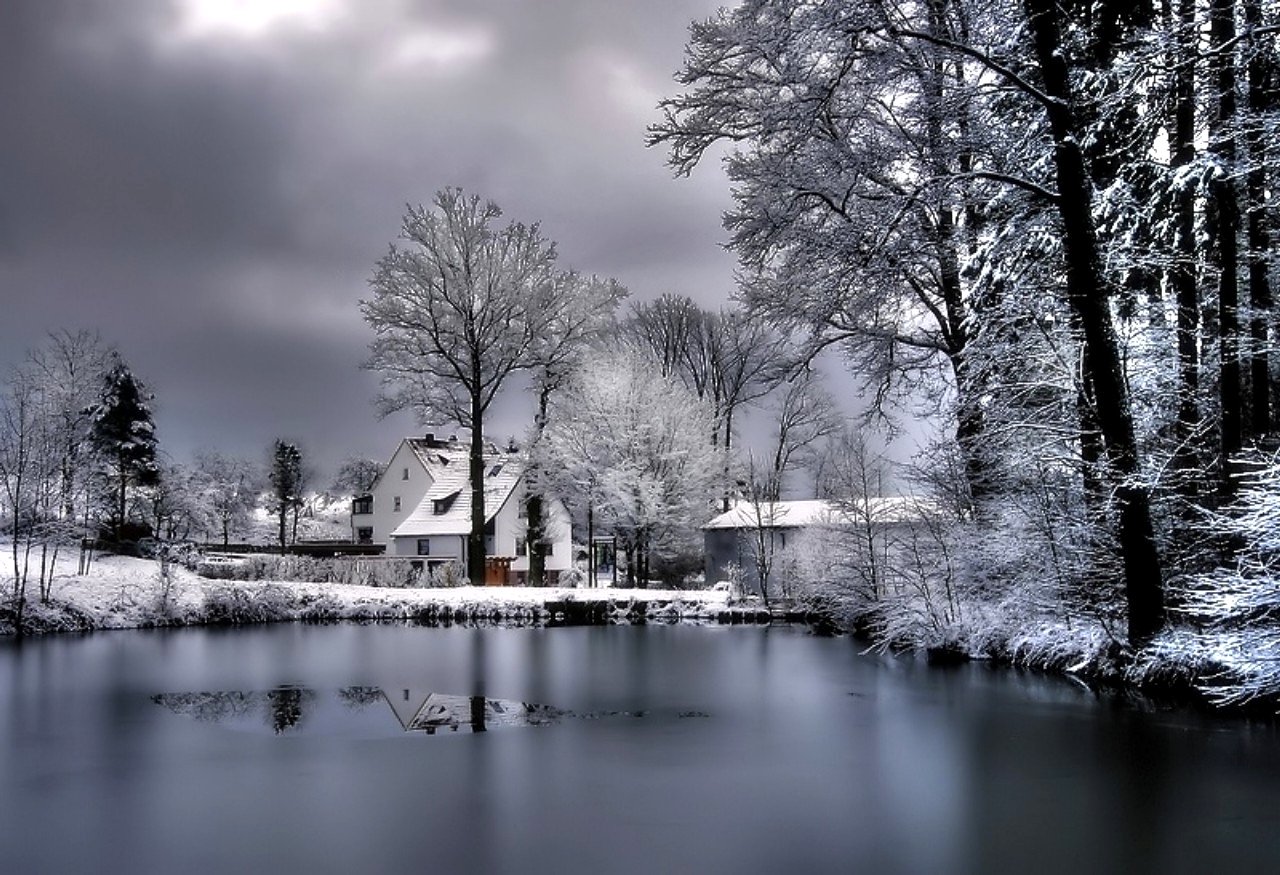 Free Winter Background Wallpaper WallpaperSafari