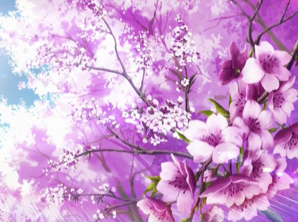 Sakura Blossoms Wallpaper By Dragonladyslair