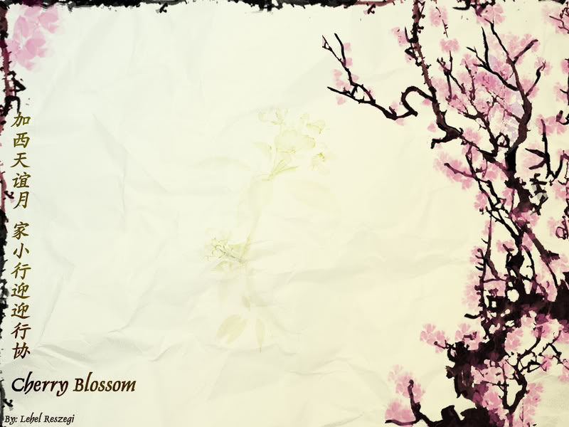 Wallpaper Sea cherry blossom background