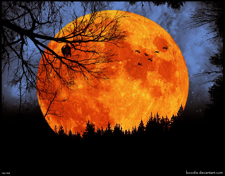 The Flame Red Moon Harvest