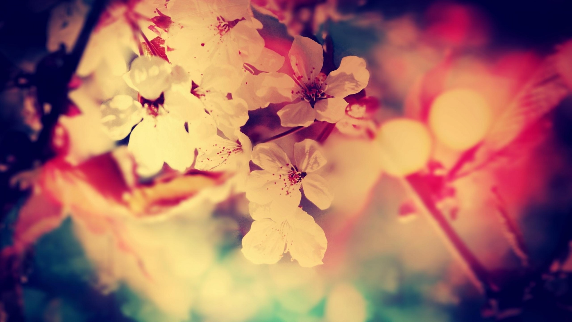 vintage flowers wallpapers categories nature wallpapers