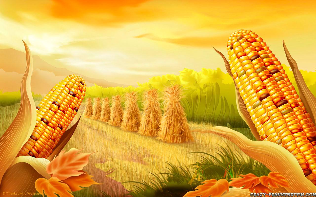 Farm Thanksgiving Wallpaper Desktop Corn