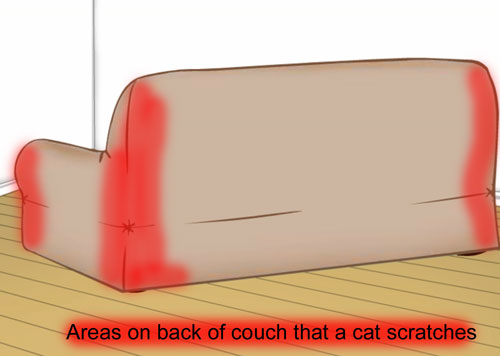 Couch Corner Protectors From Cats