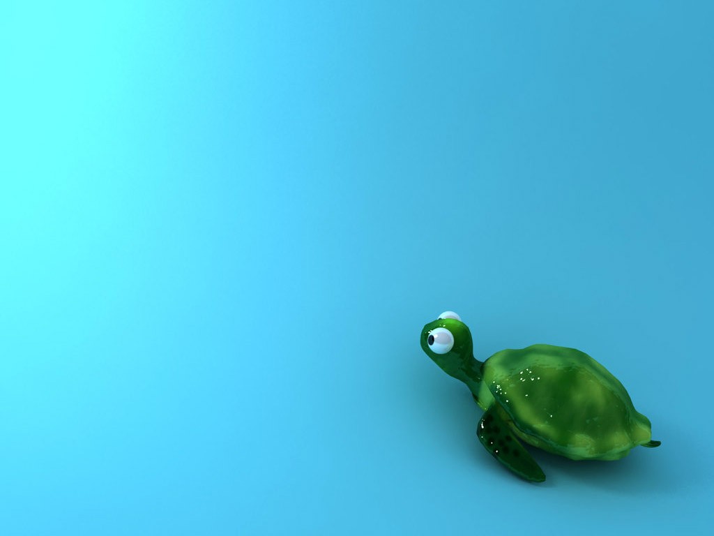 Beautiful Wallpaper Turtle HD