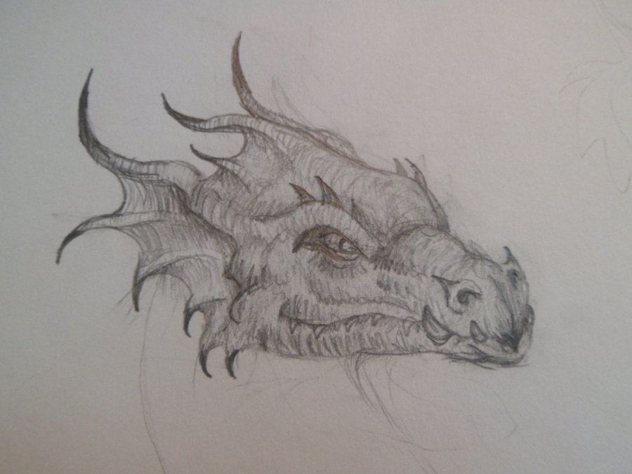 Popular Dragon Head Drawings Wallpaper Hq Background HD