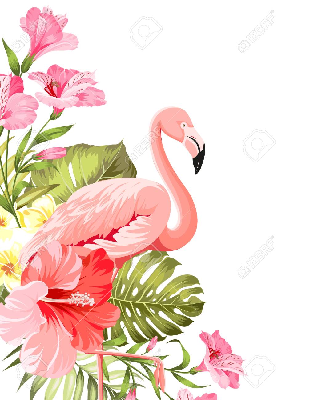 Flamingo Background Design Tropical Flowers Illustration Fashion