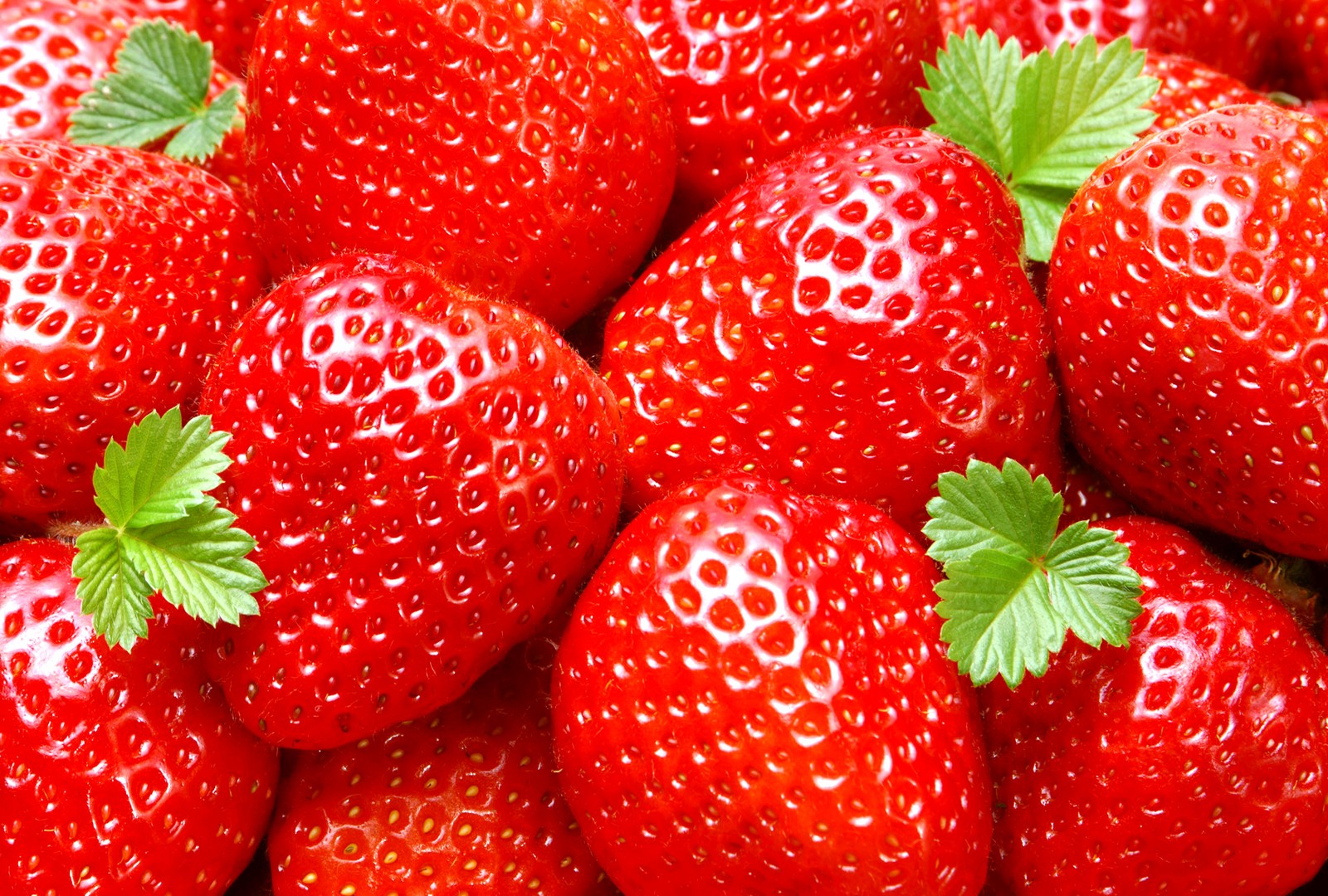 Fruits Strawberry Wallpaper HD Fine Wallpapaper Rr