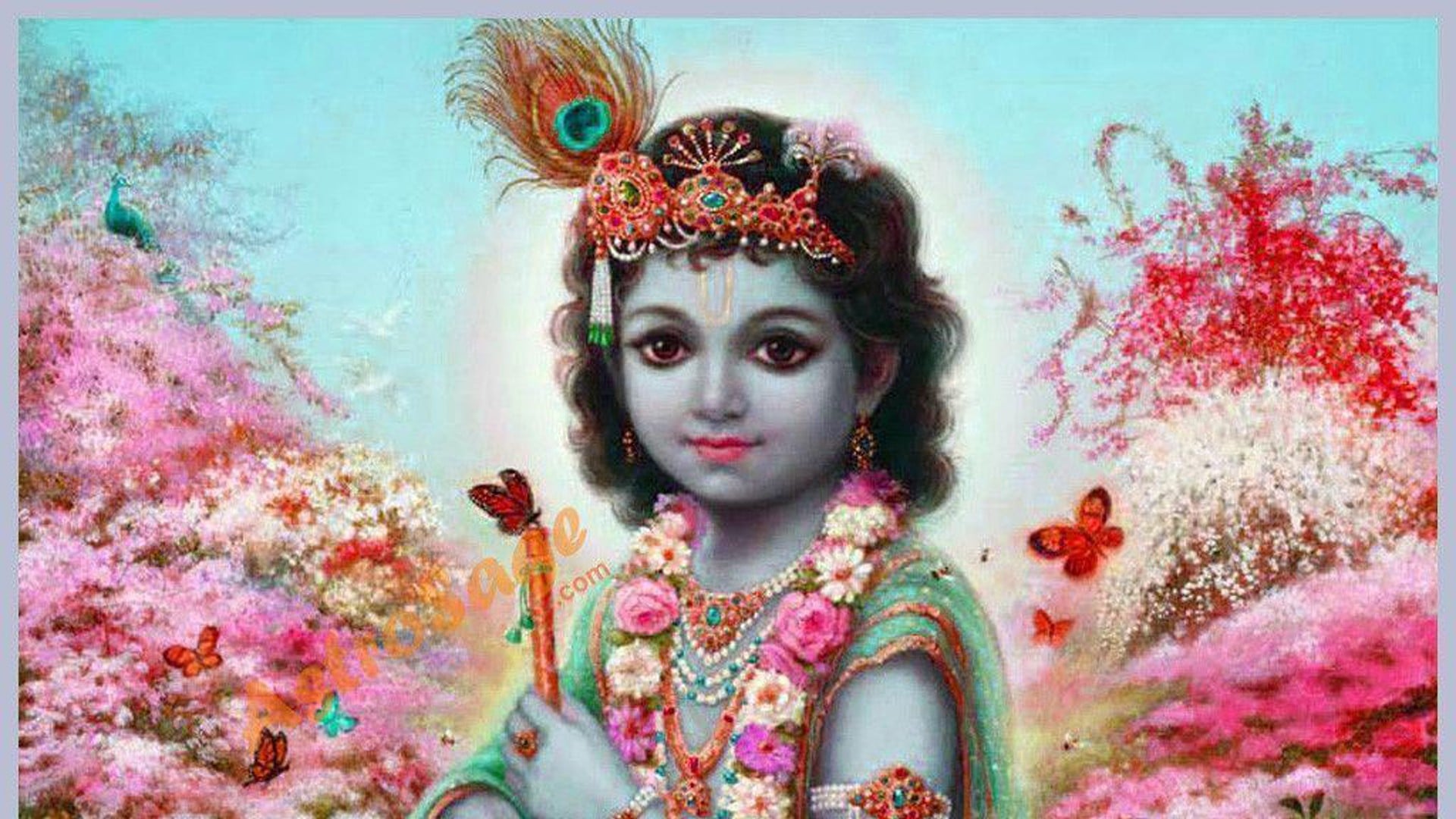 Little Krishna HD Wallpaper
