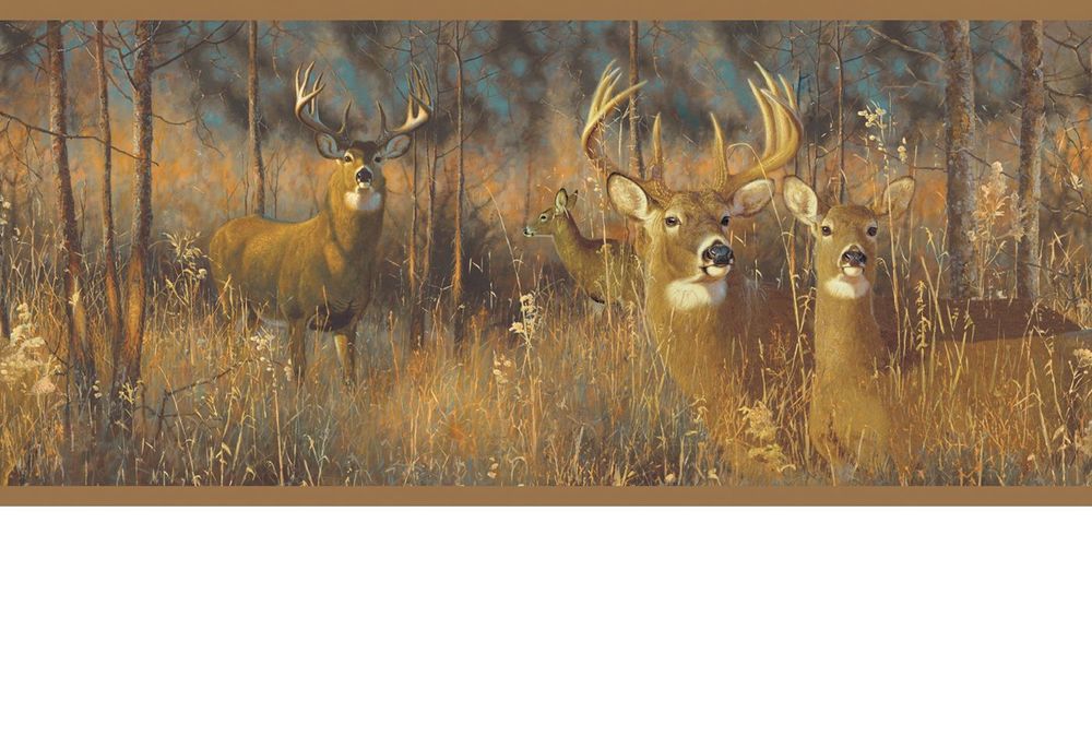 [48+] Sure Strip Wallpaper Border Bg1674bd WallpaperSafari