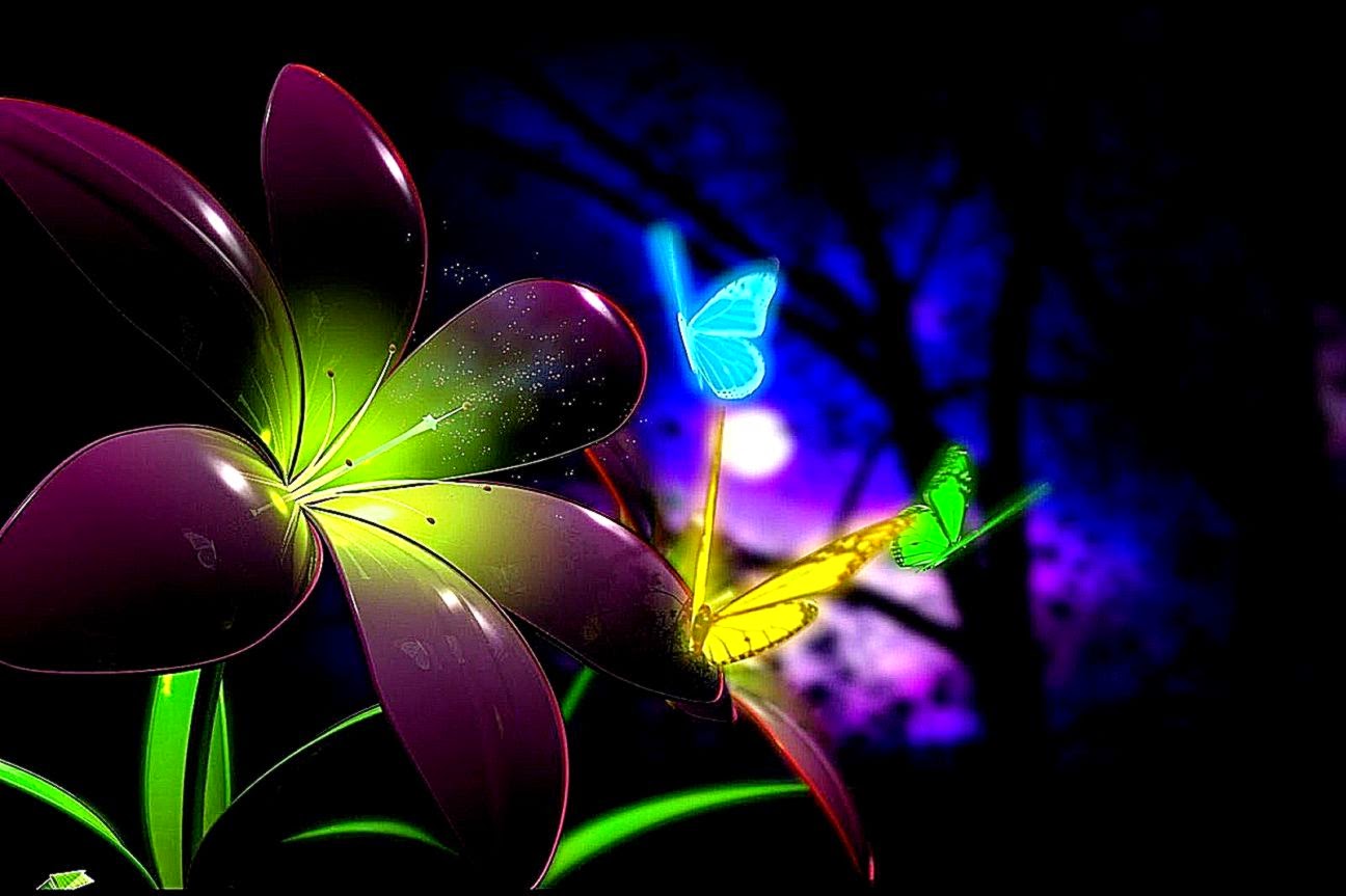 Beautiful Butterfly Colorful Desktop HD Wallpaper Best