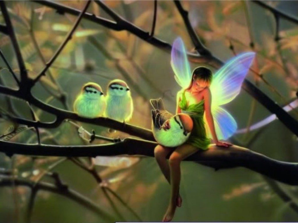 Cute Bird Fairy Background Wallpaper