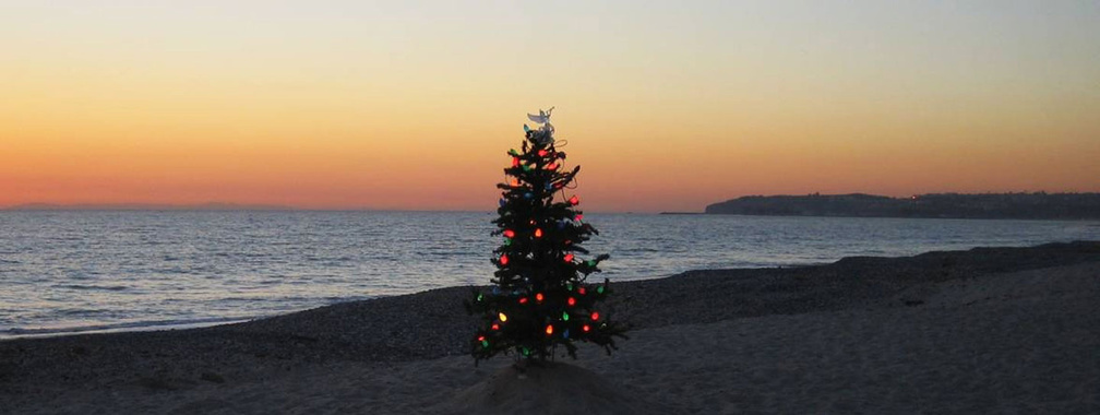 Christmas Tree On A Beach Wallpaper