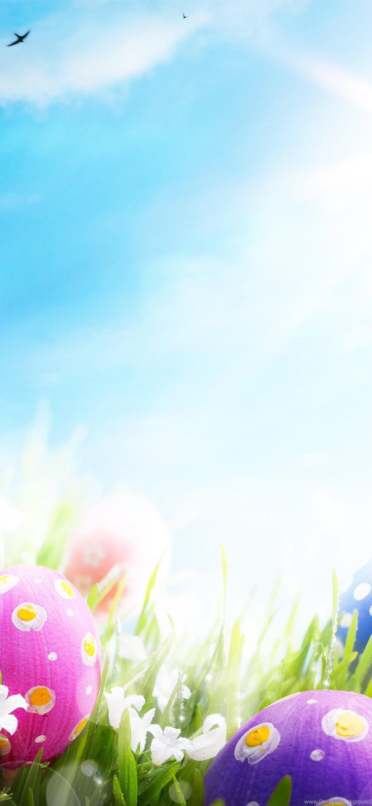 Easter Eggs Desktop Background iPhone Wallpaper