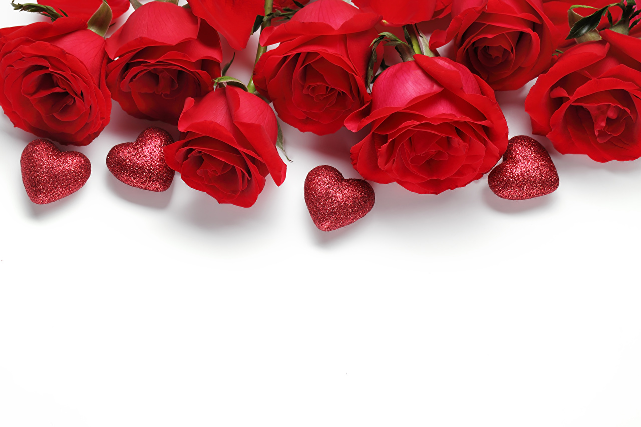 Wallpaper Valentines Day Heart Red Roses Flowers White