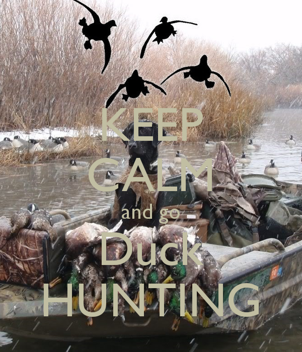 Duck Hunting Wallpaper HD