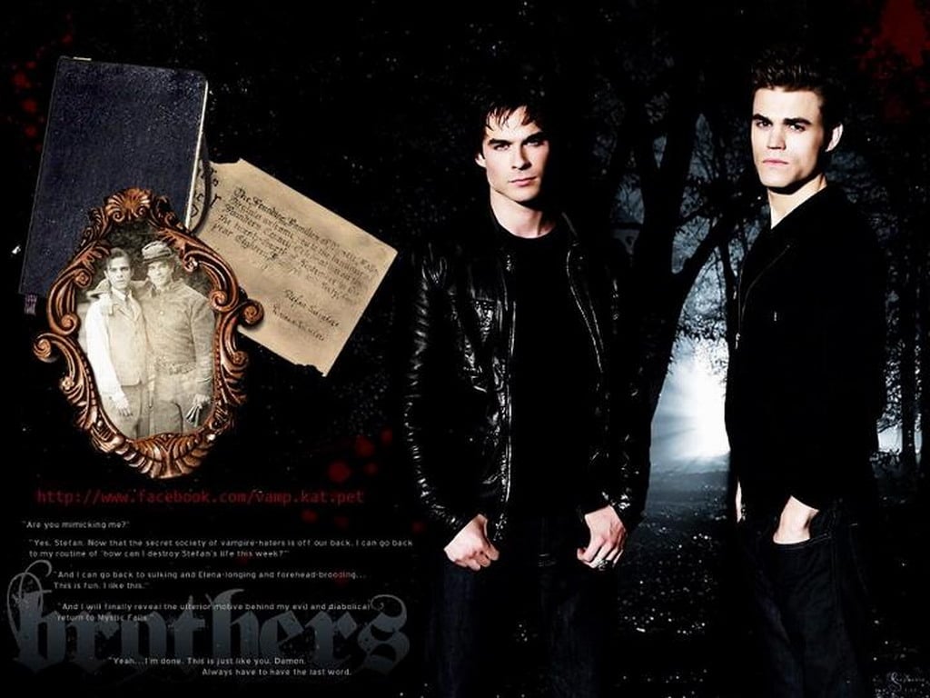 Stefan Damon   The Vampire Diaries Wallpaper 31215142 1024x768