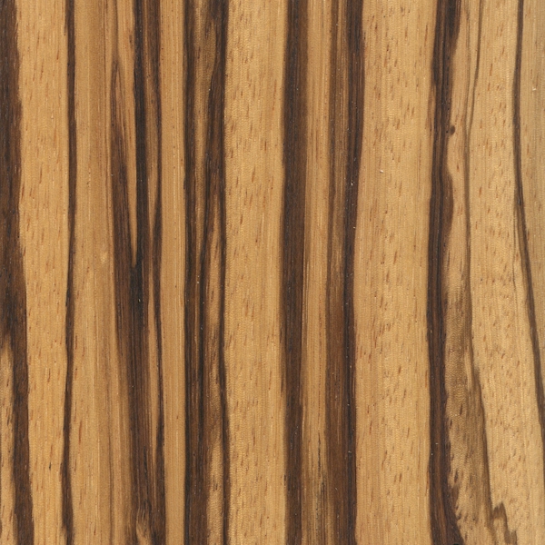 Zebrawood The Wood Database Lumber Identification Hardwoods