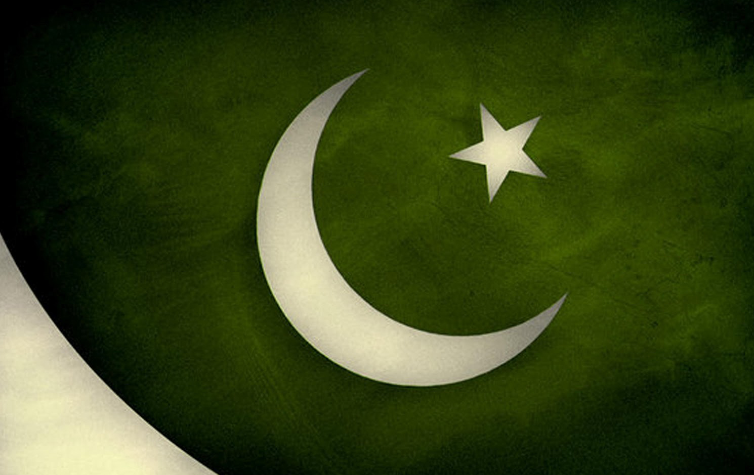 Pakistani Flag High