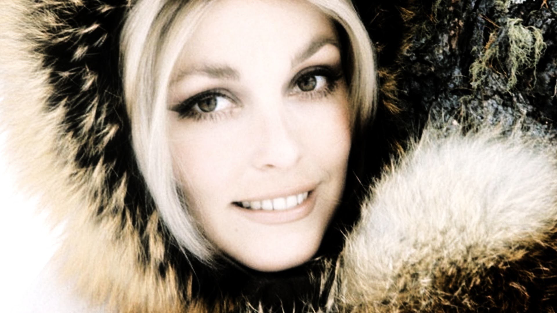 Sharon Tate Wallpaper