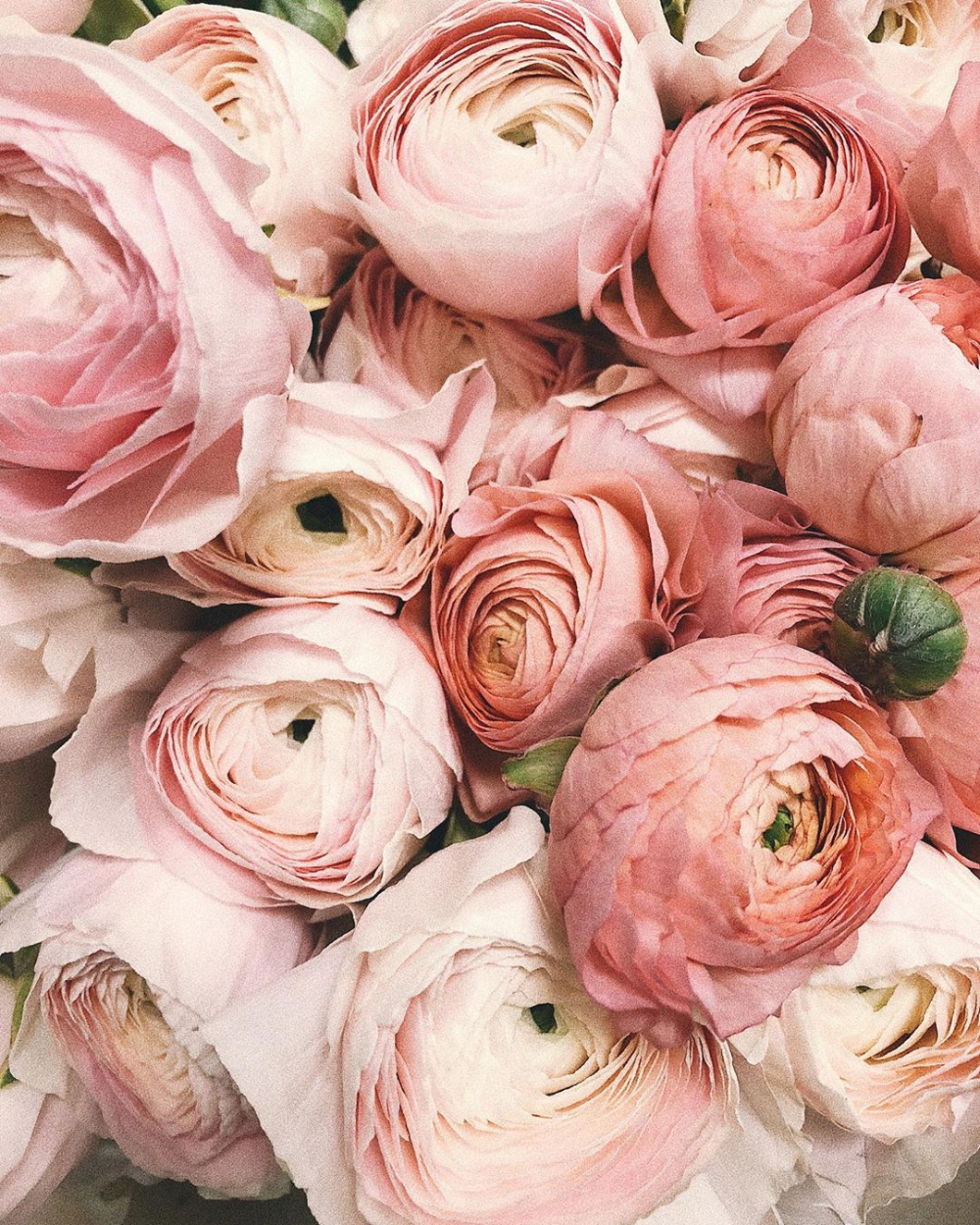 Glissant Glissantlove Instagram Photos And Videos In