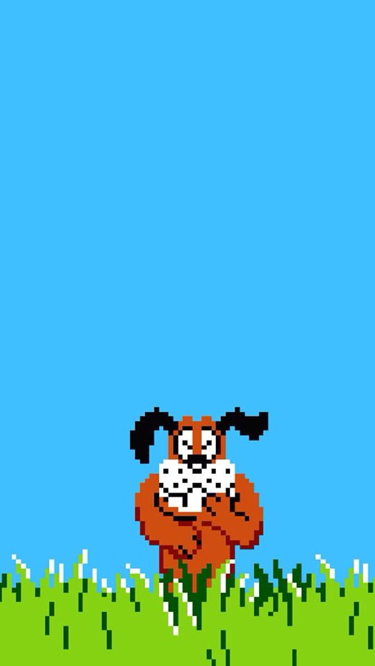 Duck Hunt iPhone5 Wallpaper iPhone Best