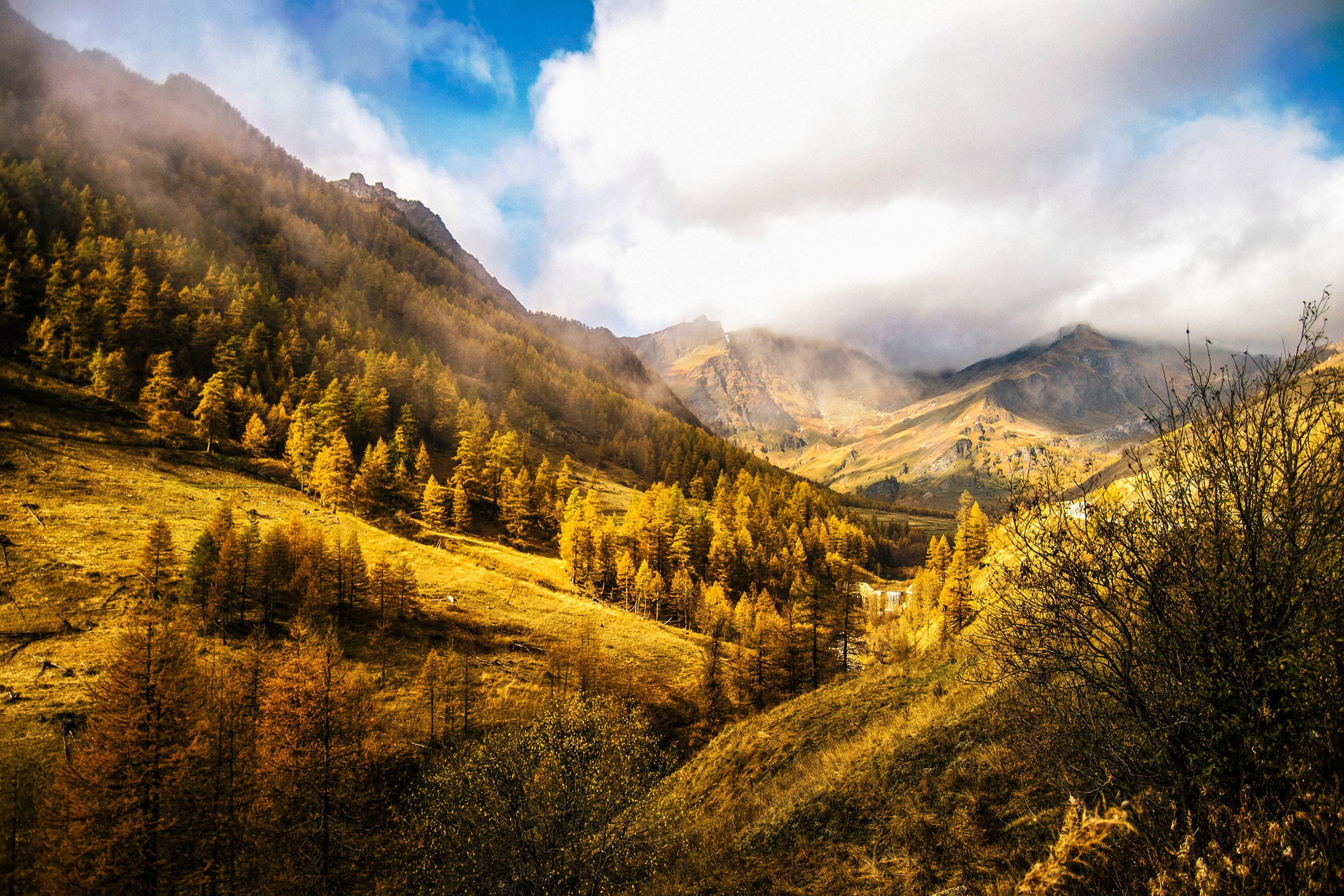 Wallpaper Italy Piedmont Mountains Hills Nature Trees Autumn