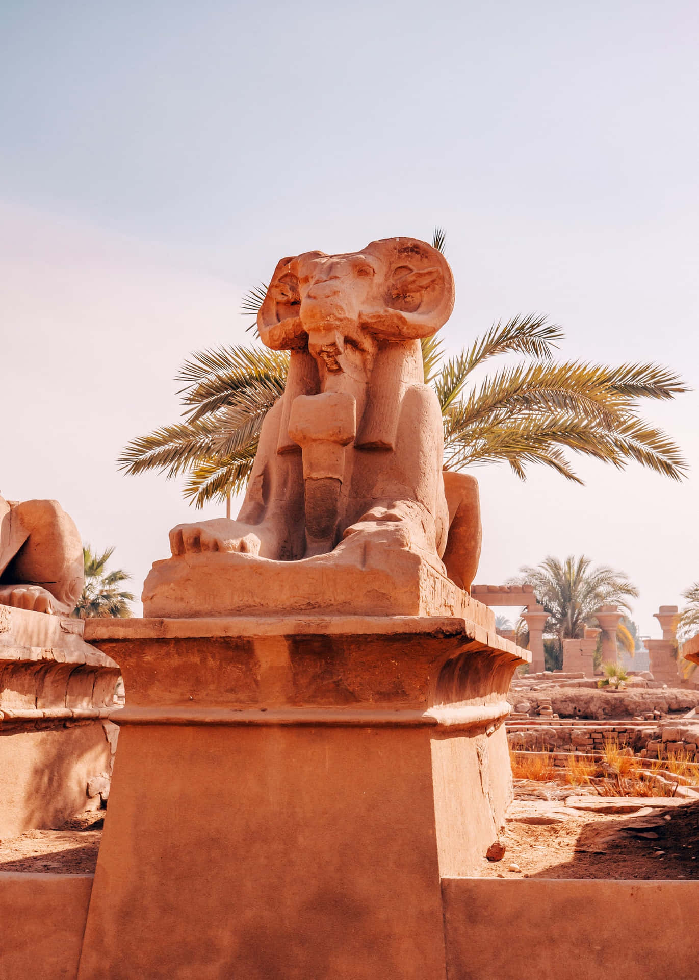 Statue In Egyptian Museum Wallpaper
