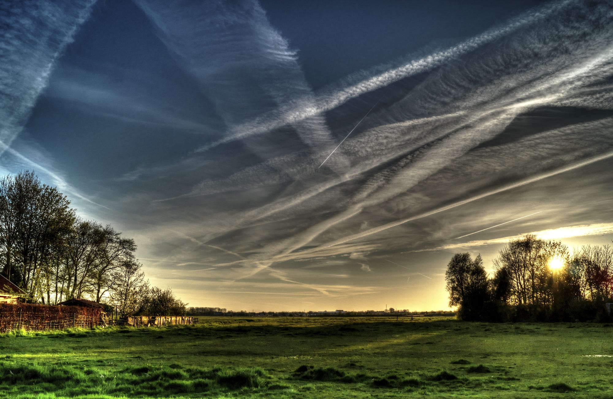 Nature Landscape Trees Sky Grass Field Chemtrails Wallpaper