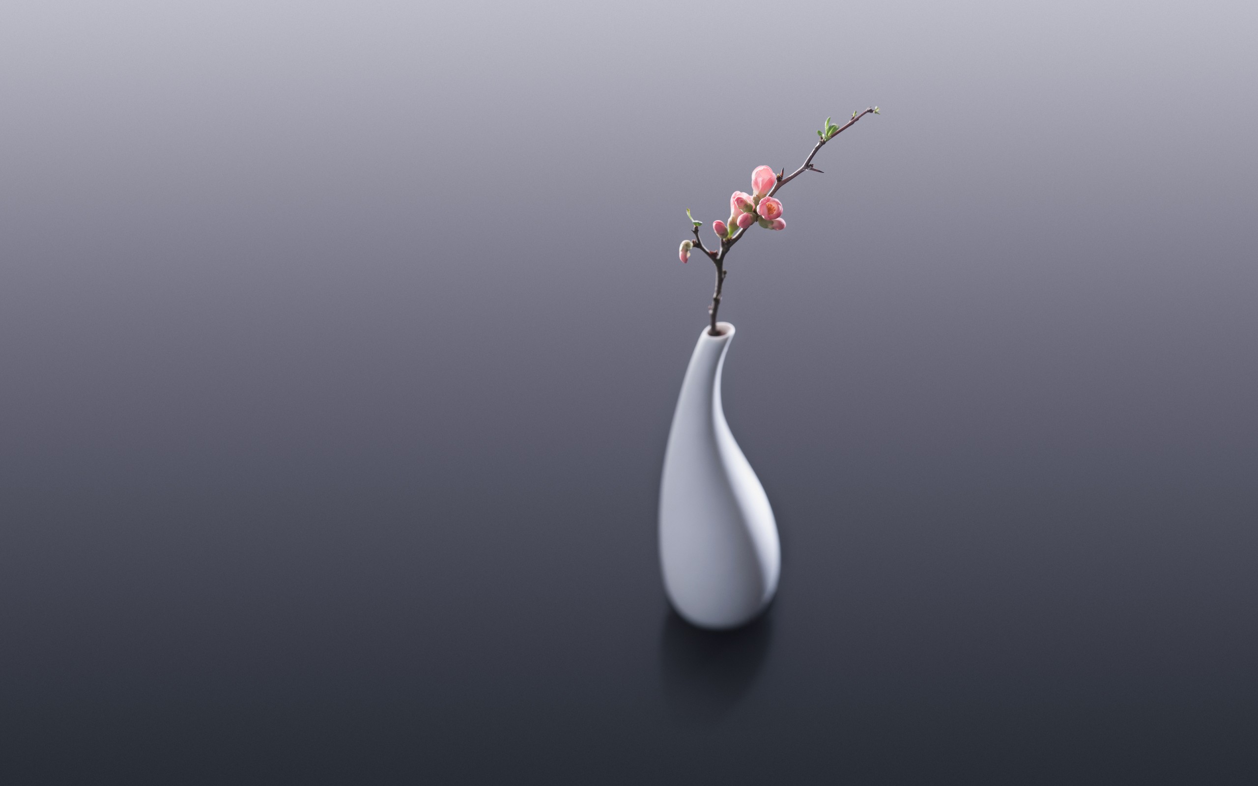 Flower Vase Wallpaper