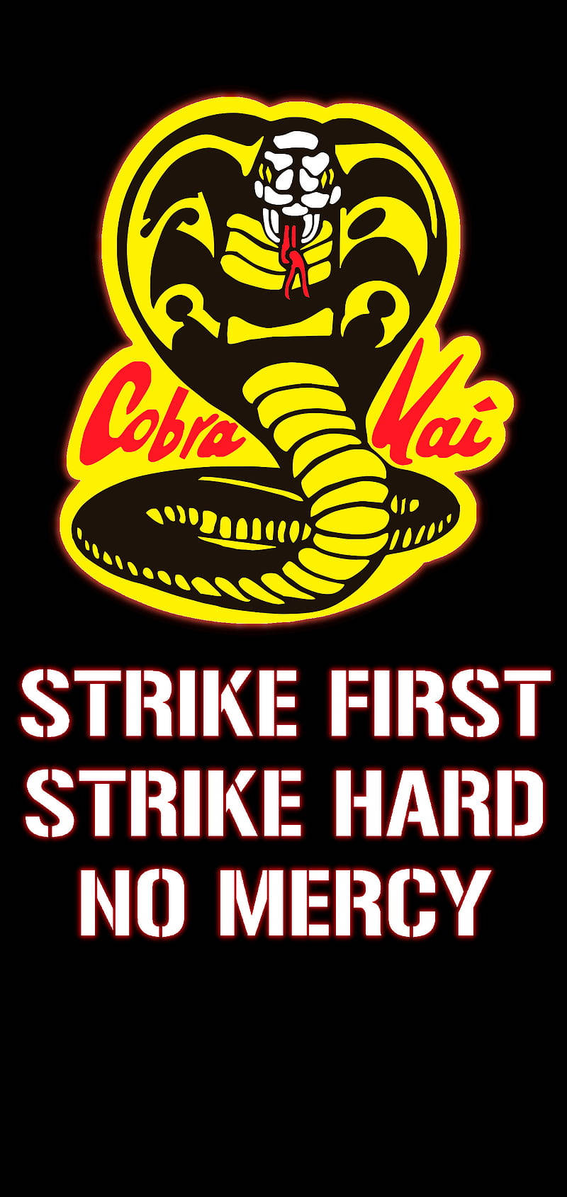 Get The Ultimate Martial Arts Experience With Cobra