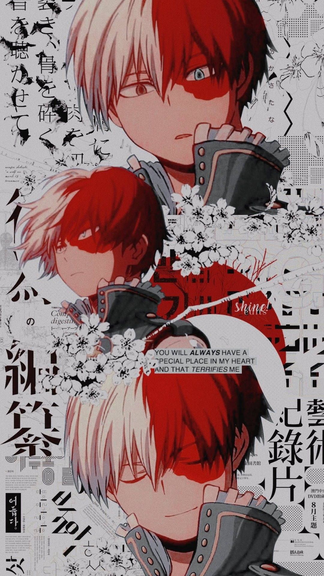 Todoroki Aesthetic Wallpaper
