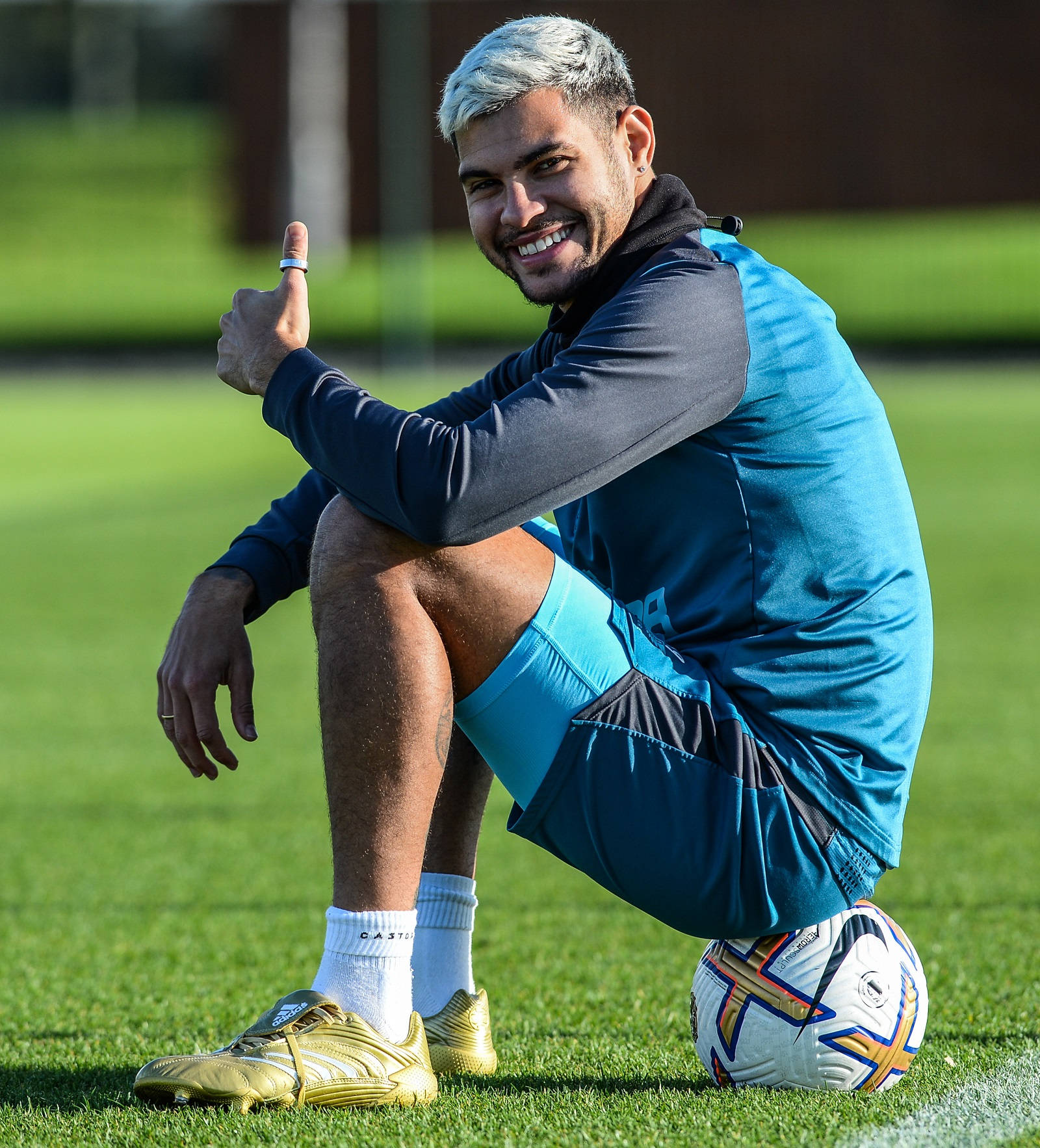 Bruno Guimar Es Sitting Thumbs Up Wallpaper