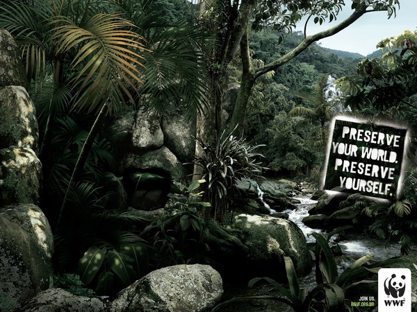 World Wildlife Fund Wallpaper