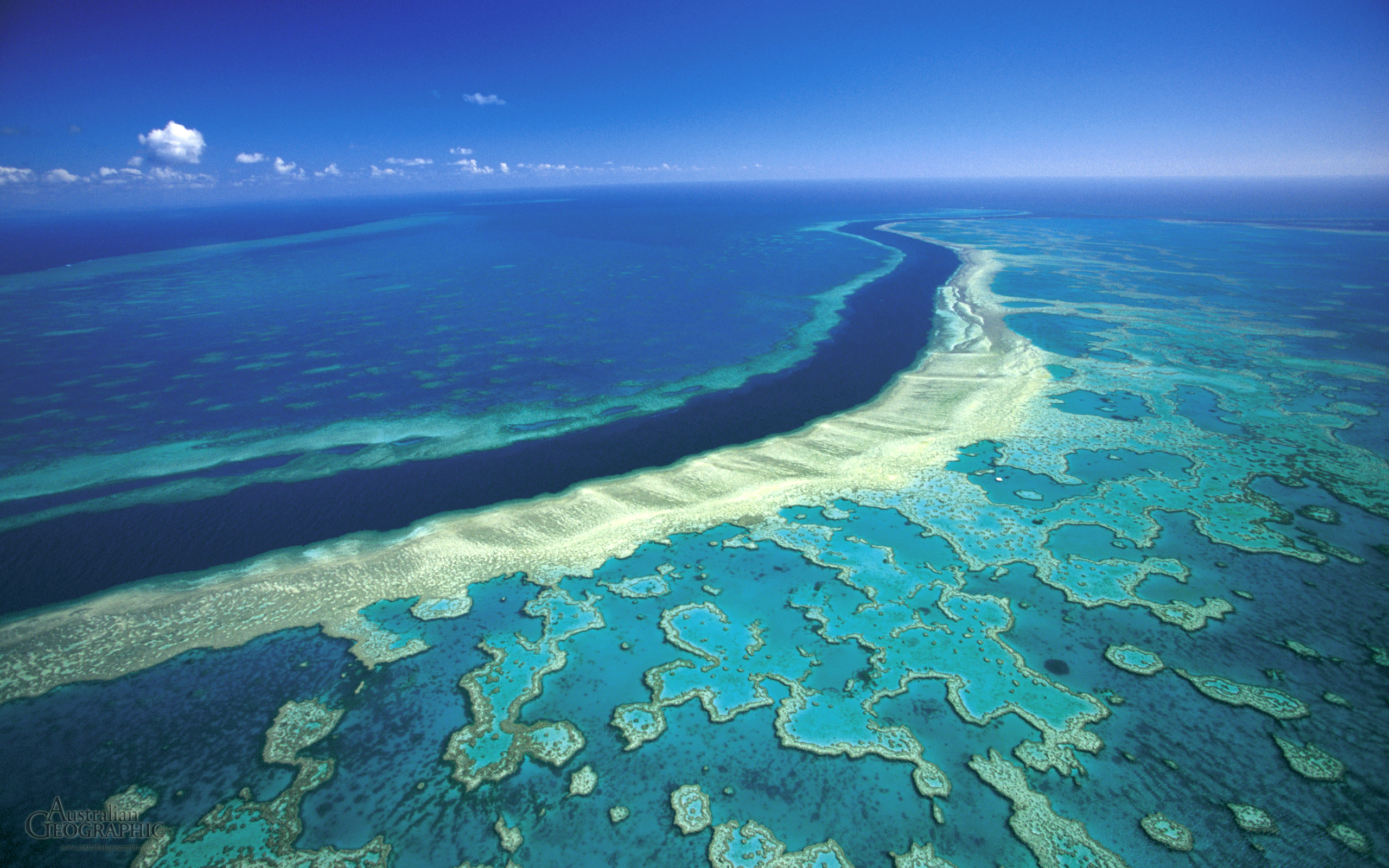 Hardy Reef On The Great Barrier Credit Mike Mccoy