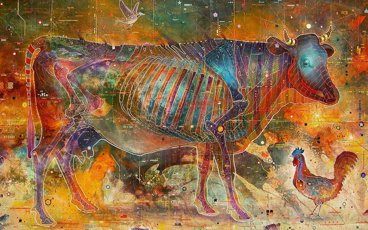 Animal Anatomy Wallpaper Walldevil Best HD Desktop And