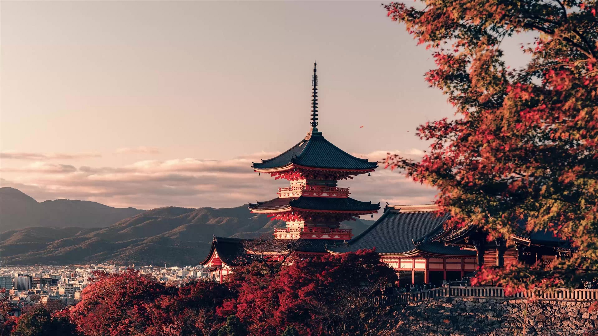 Kyoto Live Wallpaper Animated